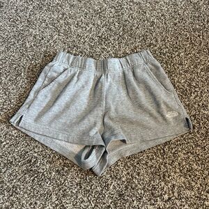 The North Face Gray Athletic Shorts for Active Comfort